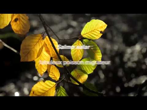 les saumons du Léguer