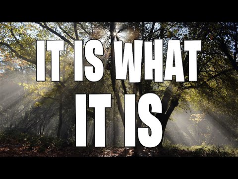 It is what it is (feat. GO HRD) [Official Audio]