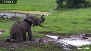 Africam Tembe Elephant Park | 2024 Highlights
