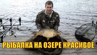 Клев рыбы в мичуринске тамбовской области