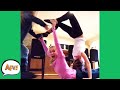 The FACE Before FAILURE Funny Fails AFV 2020
