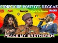 Positive Conscious Reggae Mixtape Reggae Mix 2025 Luciano The Messenjah Sizzla Kalonji Chronixx
