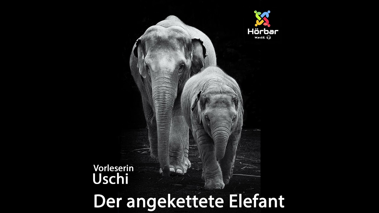Aus dem Buch "Der angekettete Elefant" von Jorge Bucay