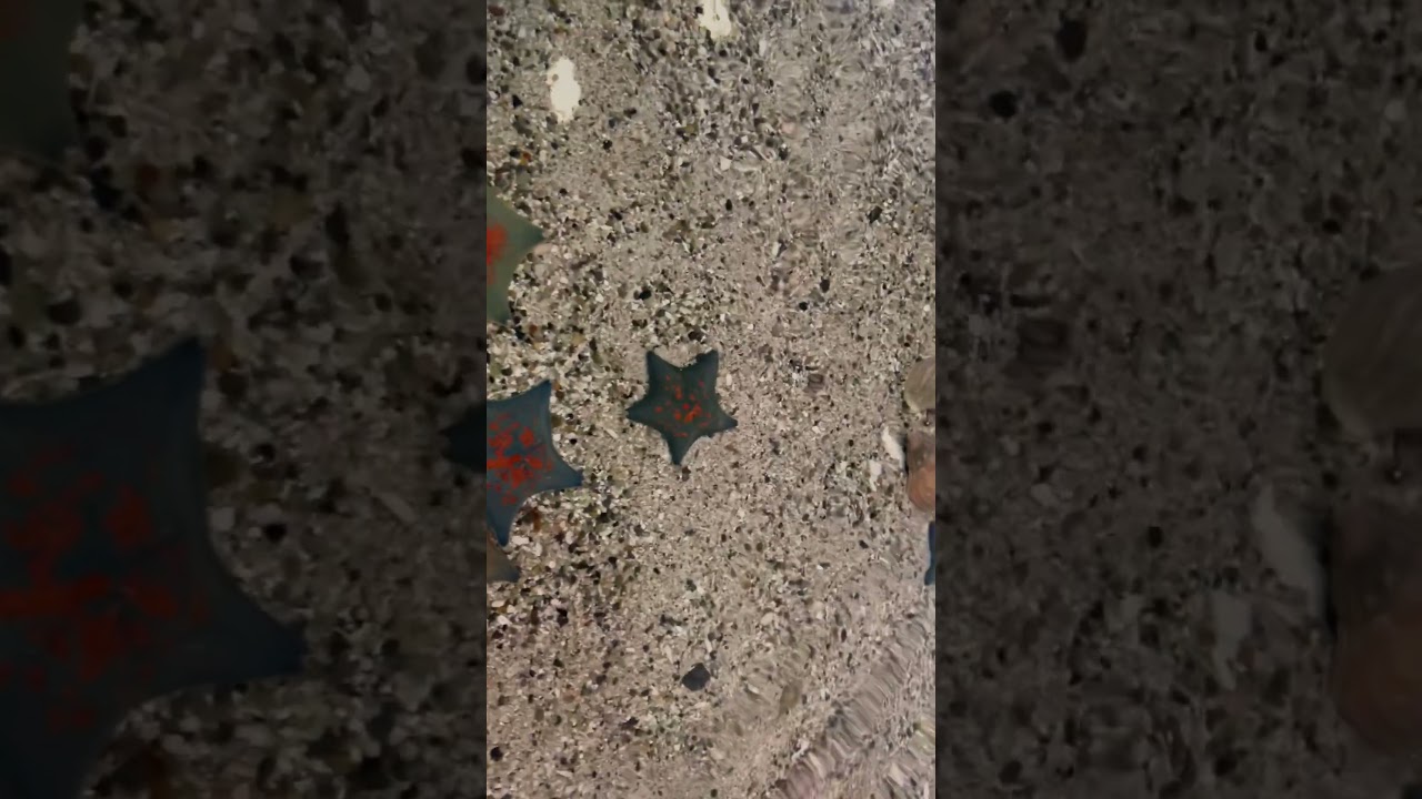 YouTube Short thumbnail