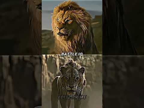 MUFASA VS SCAR #short #edit #1v1
