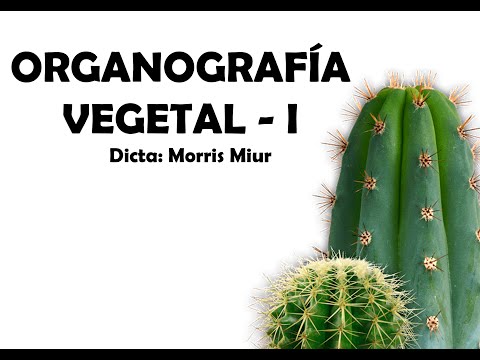 Organologia Vegetal I