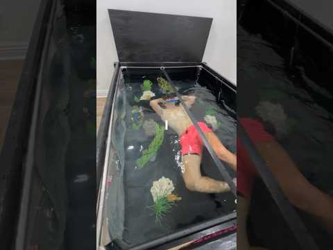 I Turned my Bed into a Fish Tank!