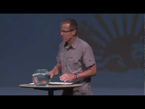 What is Heaven Like?