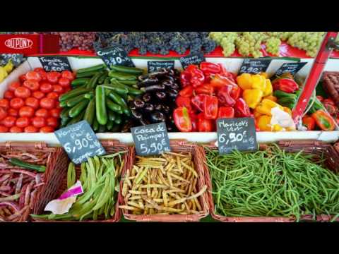 2016 Borlaug Dialogue Keynotes