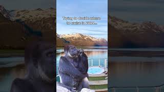 Me trying to decide where to cruise in 2024... #cruise #shorts #eatsleepcruise