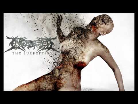 INGESTED - This disgusting Revelation (