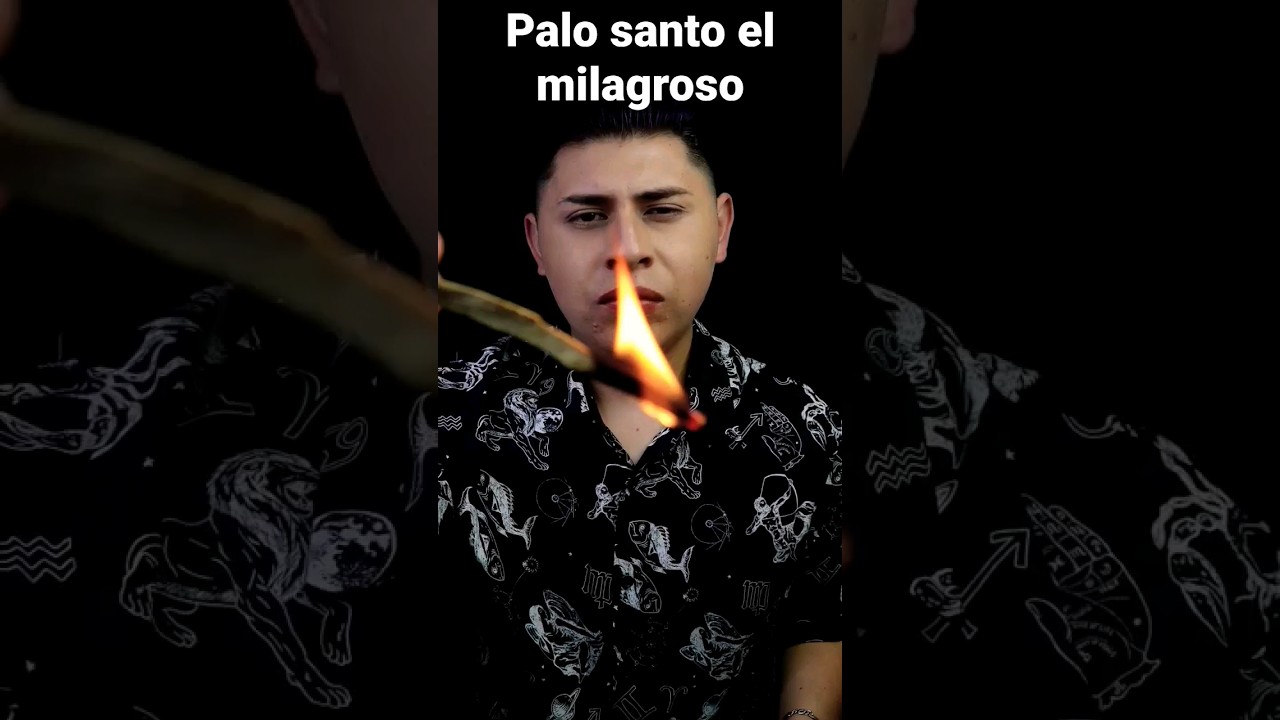 Solo usa Palo Santo y Purifica tu energía de inmediato