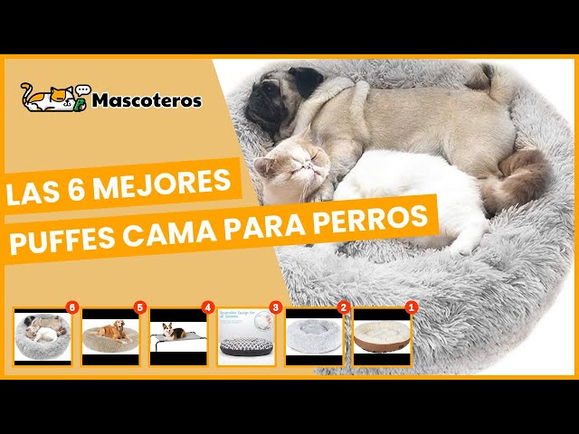 Vídeo relacionado con Mateju Cama Peluche Perro con Base Antideslizante, Cojín para Gatos de Felpa Rectangular Suave y Cómoda Cama para Mascotas Sofá para Mascotas para Medianos y Pequeños (Caqui,63x48x14.5cm)