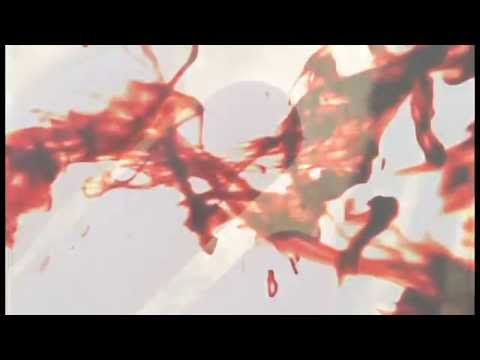 Abandoned Insane Asylum Video 2