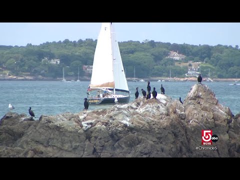 Off the coast of Salem, Bakers Island is a scene of solitude and serenity