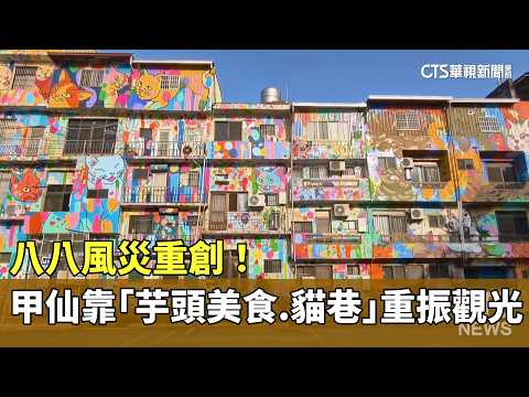 八八風災重創！　甲仙靠「芋頭美食.貓巷」重振觀光