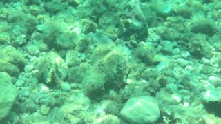 preview picture of video 'Horvátország 2011 - Sibinj // Underwater Croatia '11 FULL HD'