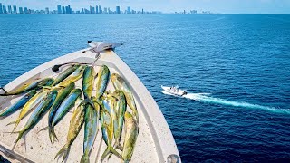 Mahi Mayhem in Miami (in a 20 ft bay boat!)