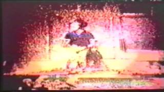 Vox Celeste - Deerhunter