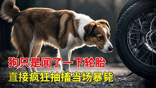 [問卦] 鄰近在他家門口水溝尿尿 有解嗎