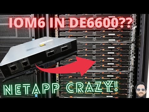Can you use a NetApp IOM6 in a DE6600? ✈️🤔🔥