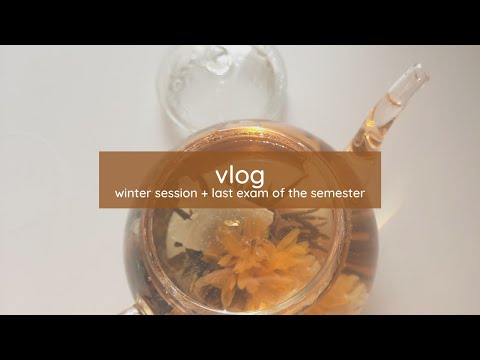 winter exam session 👩‍💻 vlog [study with me]