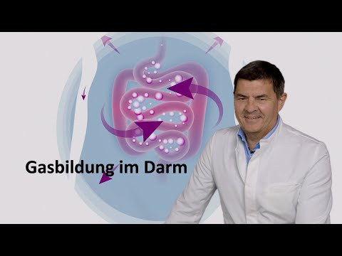 Blähungen - Gasbildung im Darm - Reizdarm und Dünndarmfehlbesiedlung - SIBO