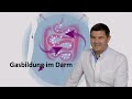 Blähungen Gasbildung Im Darm Reizdarm Und Dünndarmfehlbesiedlung SIBO
