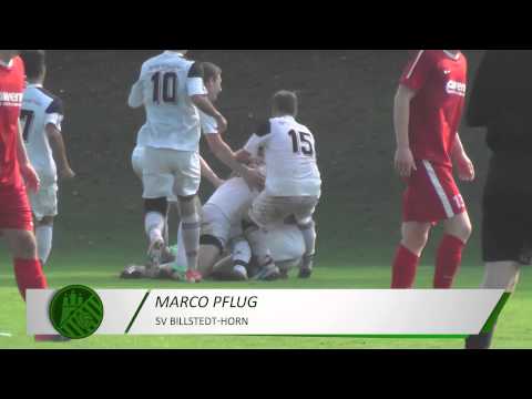 Volleytraumtor von Marco Pflug (SV Billstedt-Horn) | ELBKICK.TV