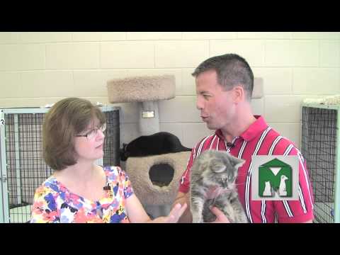 JT visits the Cats with Personality at MHS!