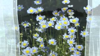 MARIA BETHÂNIA " ALGUMA VOZ "