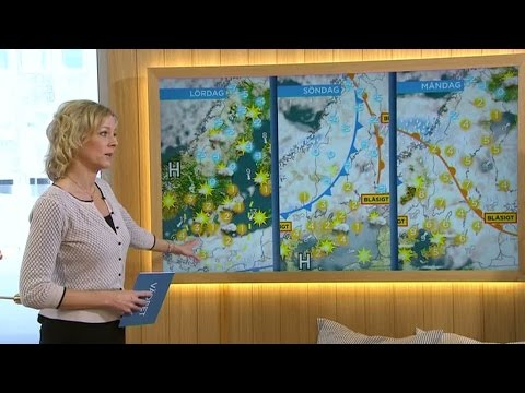 Bakslag för våren - Nyhetsmorgon (TV4)