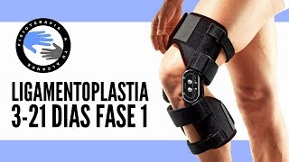 FASE 1: Ligamentoplastia rehabilitacion para la operacion del ligamento cruzado anterior o lca