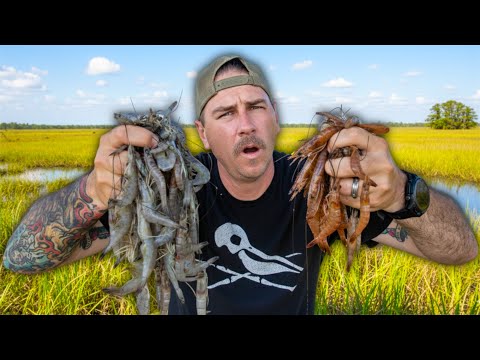 Most People Don’t Know This About Shrimp… (Cast Net Catch & Cook)