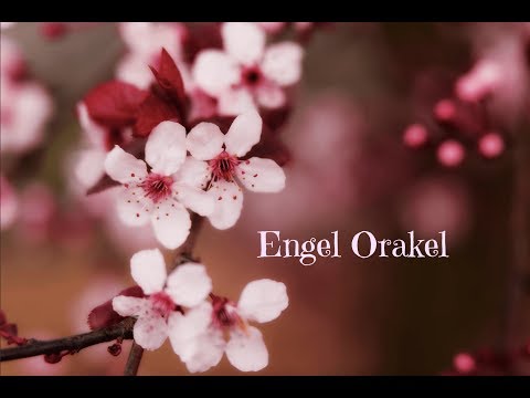 Engel Orakel 🌸