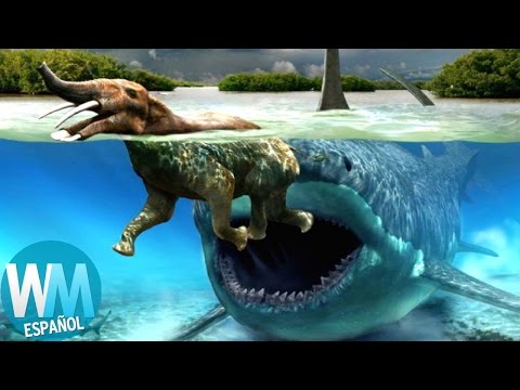 download lagu mp3 mp4 Animales Que Se Creian Extintos, download lagu Animales Que Se Creian Extintos gratis, unduh video klip Animales Que Se Creian Extintos