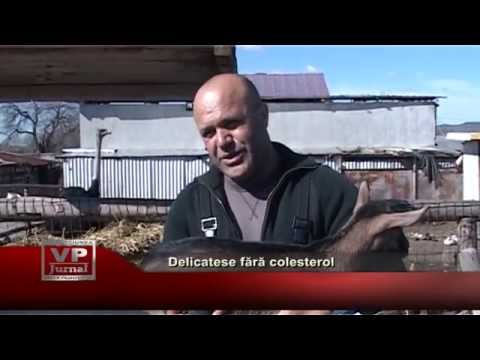 Delicatese fără colesterol