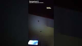 Download lagu cewek michat masih muda boy mp3 Download lagu cewek michat masih muda boy mp3