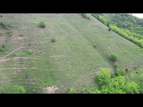 Impadurire 3 ha, Laslau Mic, Jud. Mureș