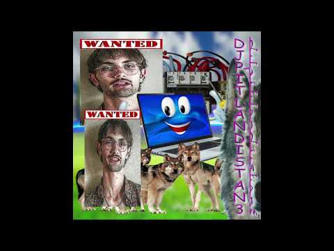 DJ ENPITSU - DJPITLANDISTAN 3 (2021)