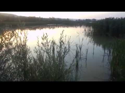 Pescuit barajul Valcele - Arges