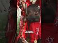 “I was very close to signing for Everton!” #LFC #Shorts