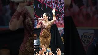 Download lagu STECU - SILVY KUMALASARI #stecu #pamapersada #silvykumalasari #lhhvideostudio mp3