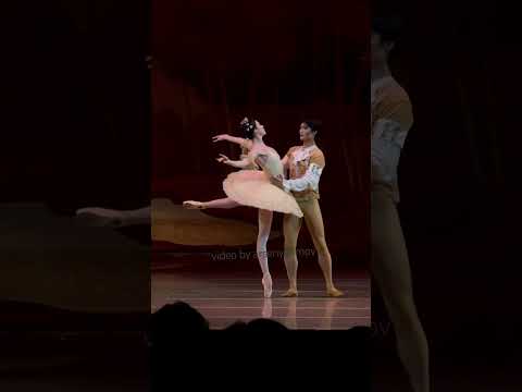 Victoria Tereshkina Kimin Kim Sleeping Beauty #mariinsky #ballet #tchaikovsky #dancer
