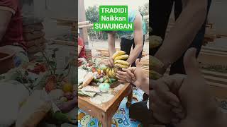 Download lagu Tradisi Naikkan Suwungan bersama dalang Ki Supriyono mp3