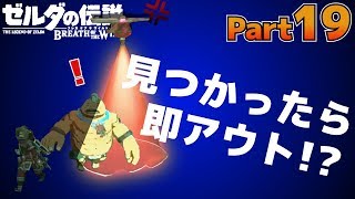【BotW】自由！！ゼルダの伝説ブレスオブザワイルドPart19【実況】