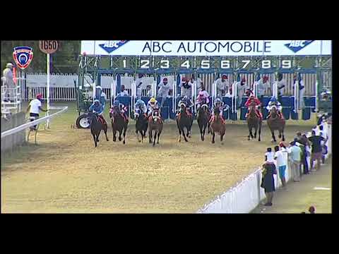 RM26 R7 | Wordbuster | D.David