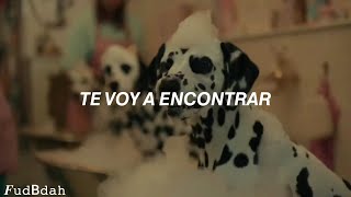 Cover art for One way or another