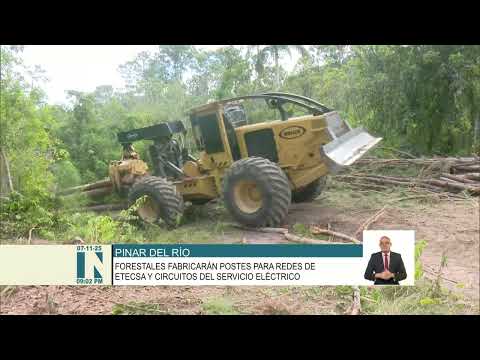 Cuba: Grupo agroforestal asume fabricación de postes para provincias afectadas por Melissa
