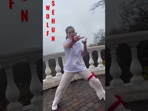 Dance challenge EXO (엑소) ‘(늑대와 미녀)’  #kpop #kpopinpublic #coverdance #exo #wolf #늑대